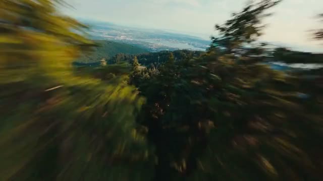 FIFA clip